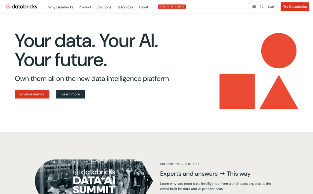 Databricks homepage, headlined Your data. Your AI. Your future., subtitled Own them all on the new data intelligence platform