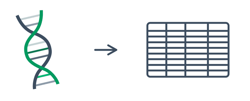 A DNA double helix with an arrow pointing to an empty spreadsheet grid