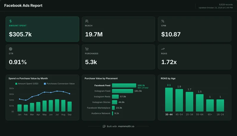 Facebook Ads report template, built in Mammoth on sample data