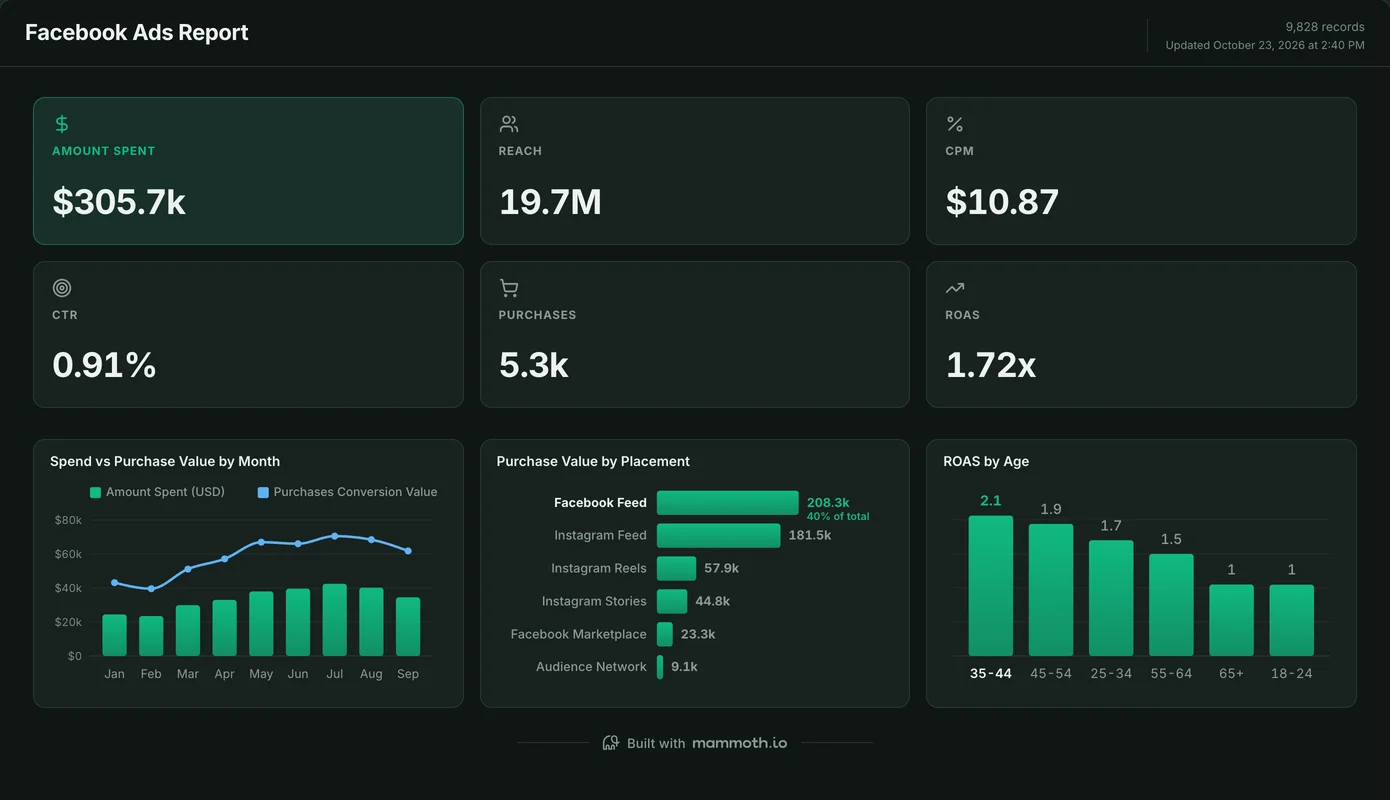 Facebook Ads dashboard built in Mammoth, showing Amount spent, Reach, CPM, CTR, Purchases, ROAS