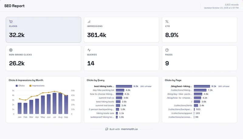 SEO report template, built in Mammoth on sample data